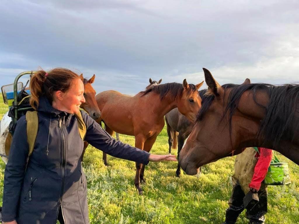 Vila Blomsteech Holwerd Exteriér fotografie