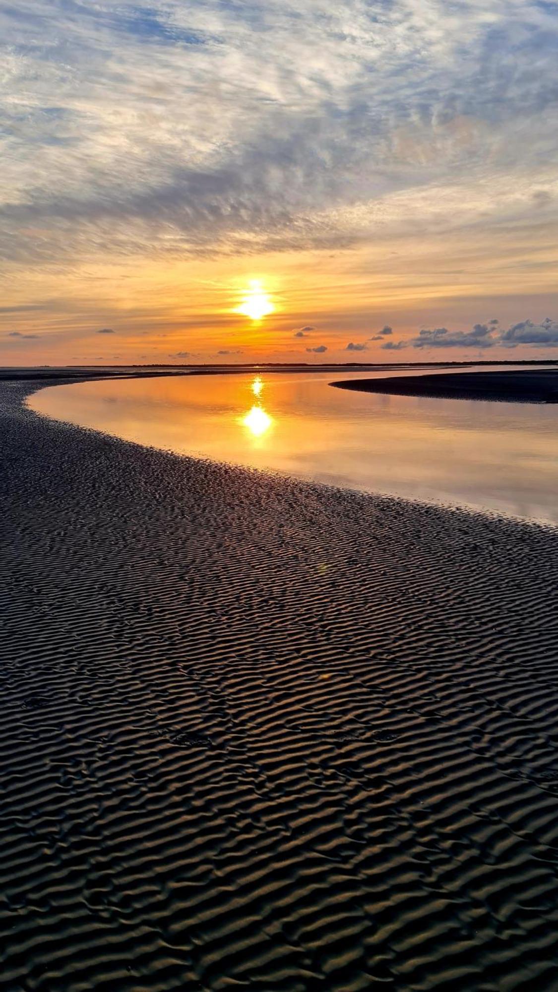 Vila Blomsteech Holwerd Exteriér fotografie